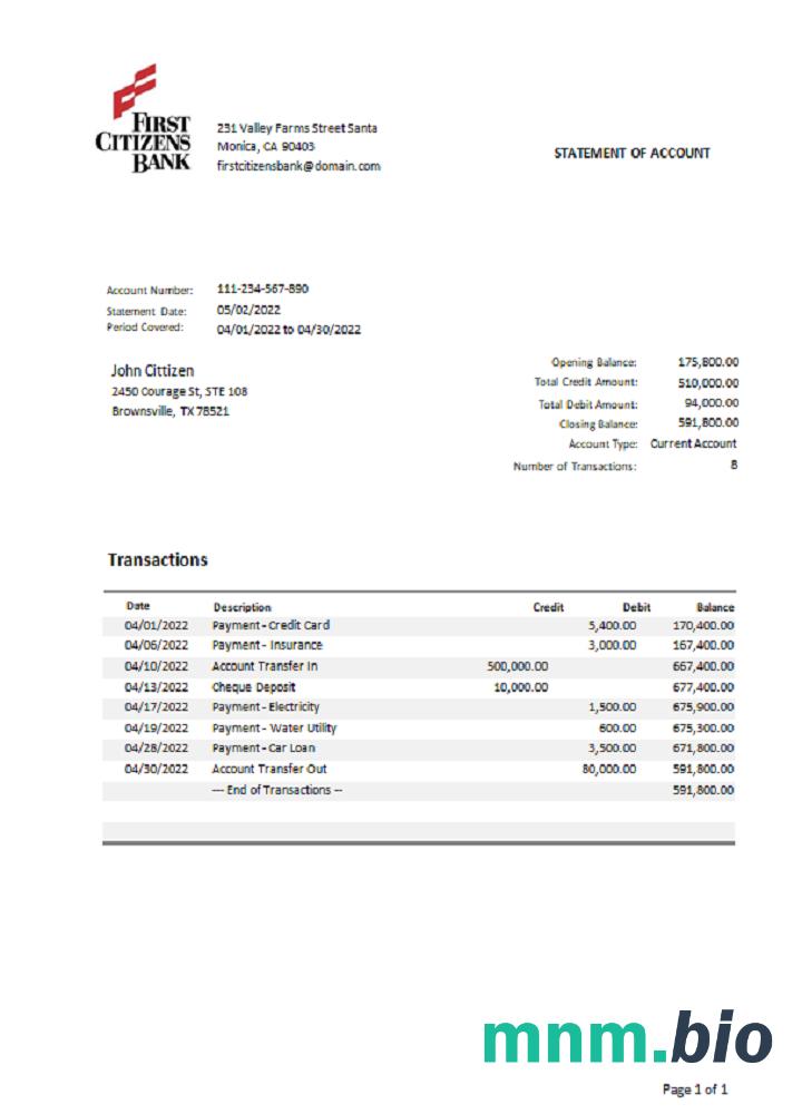 Szablon wyciągu z konta bankowego USA Texas BNI w programie Word i PDF